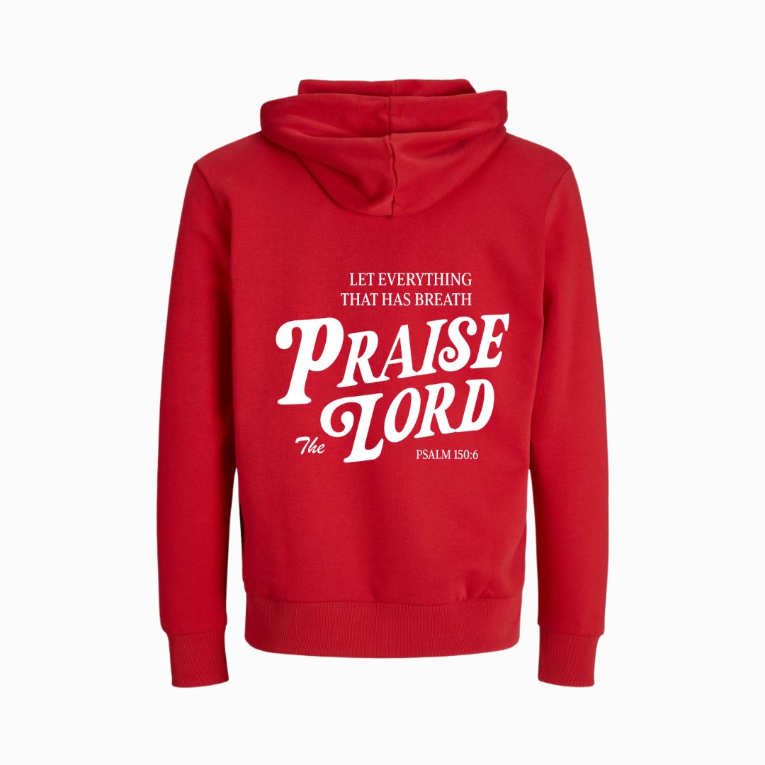 Ps 150,6 - Praise the Lord - BP - Bio-Superflausch-Hoodie